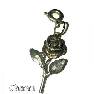 Elegant Gold and Silver Charm Necklace